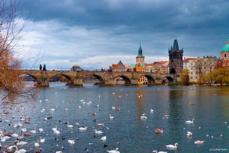 Карлов мост Прага март