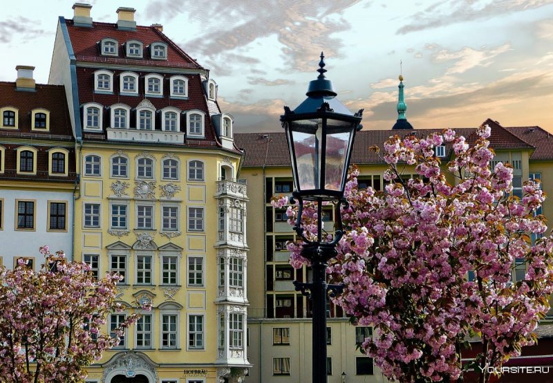 Цветущая Прага апрель