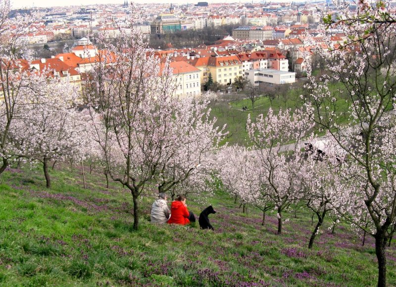 Прага Чехия рельеф