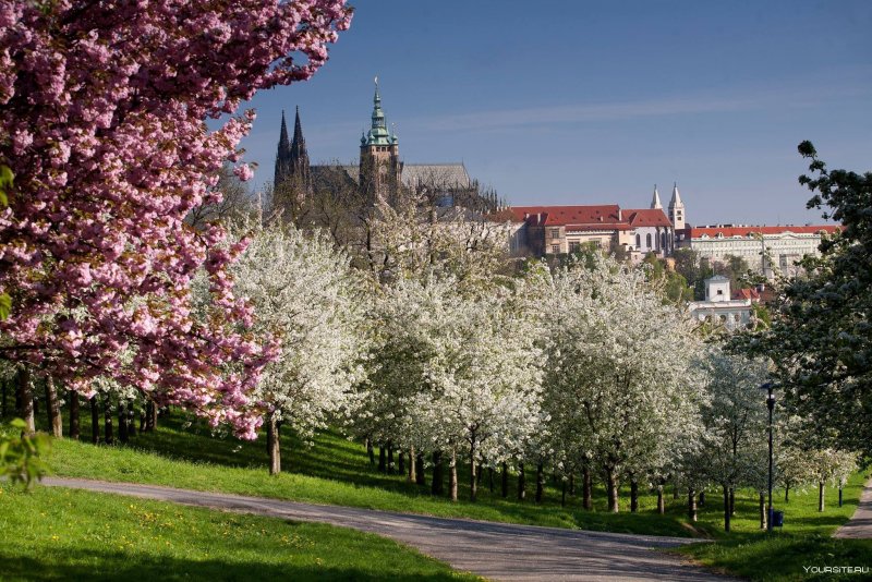 Пражский град Прага Весна