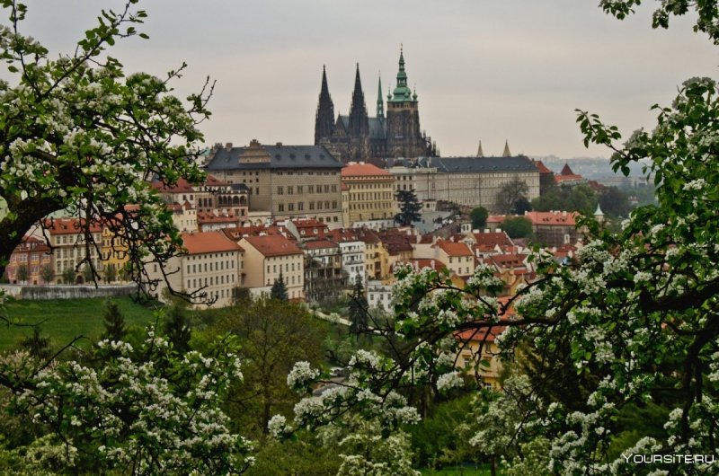 Чехия Прага климат