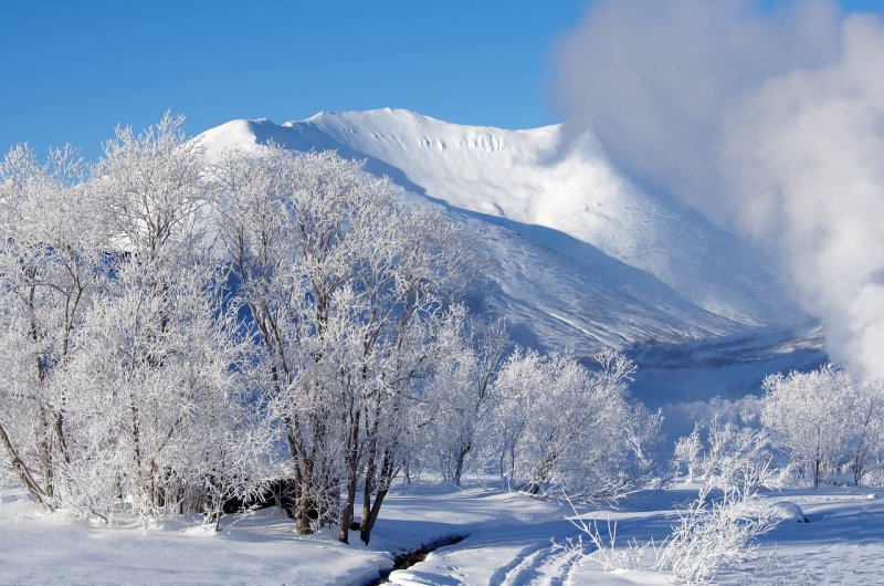 Природа Краснодарского края зимой