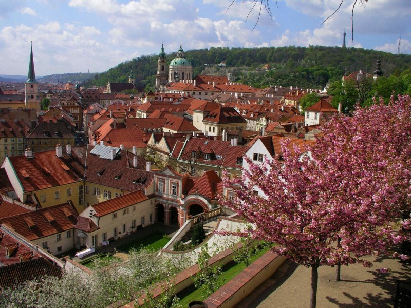 Чехия Вацлавская площадь весной