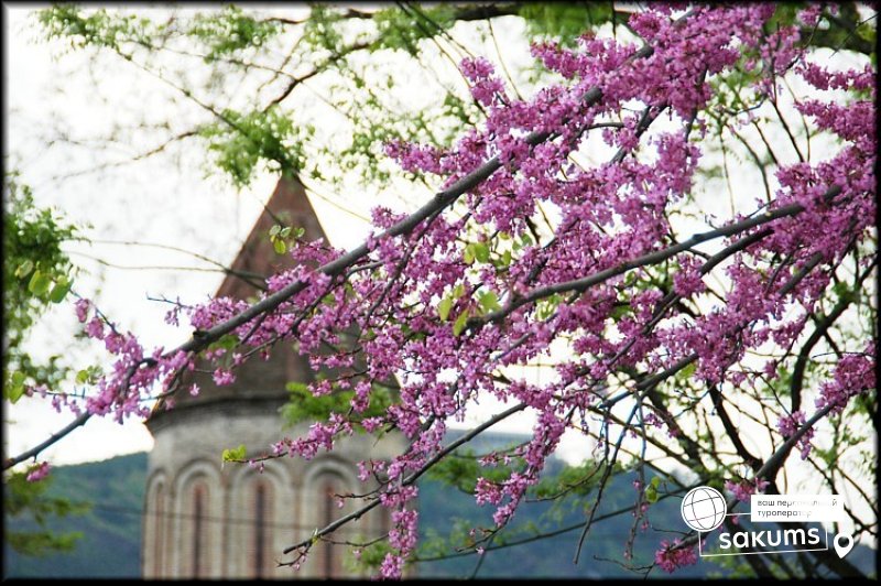 Грузия Весна Тбилиси