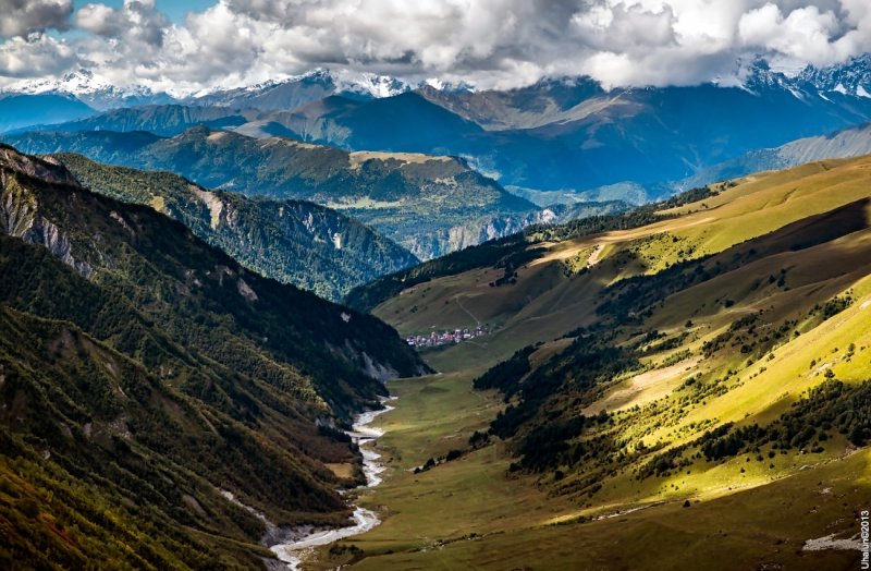 Альпийские Луга Кавказа . Эдельвейс
