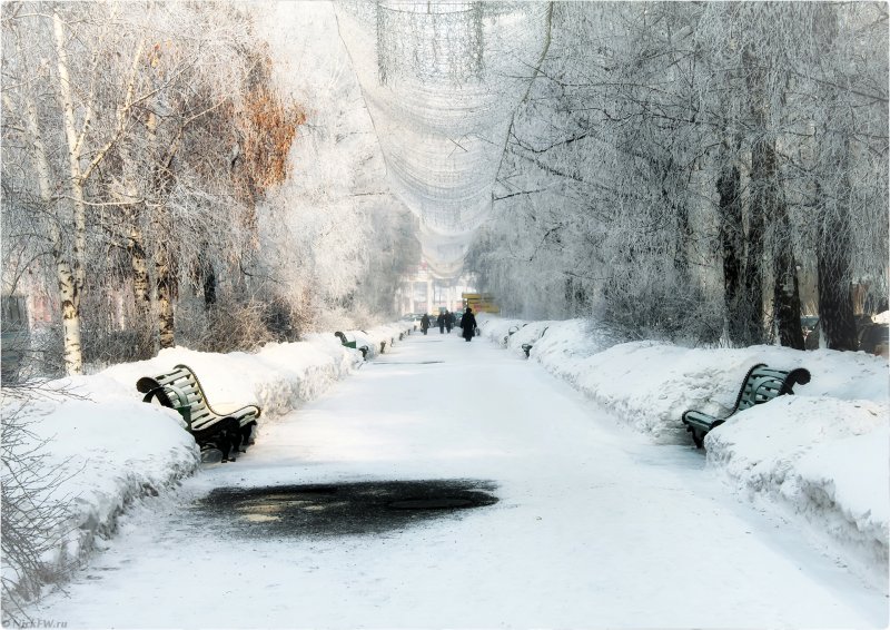 Аллея Кемерово зима