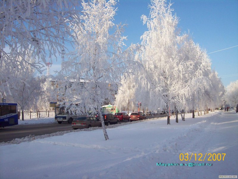 Природа Кемерово зимой