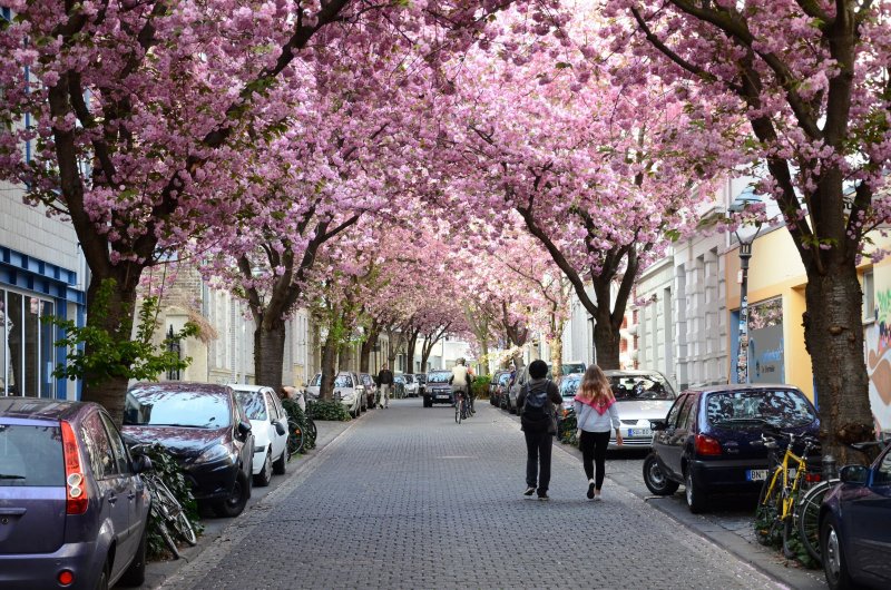 Весна в Берлине