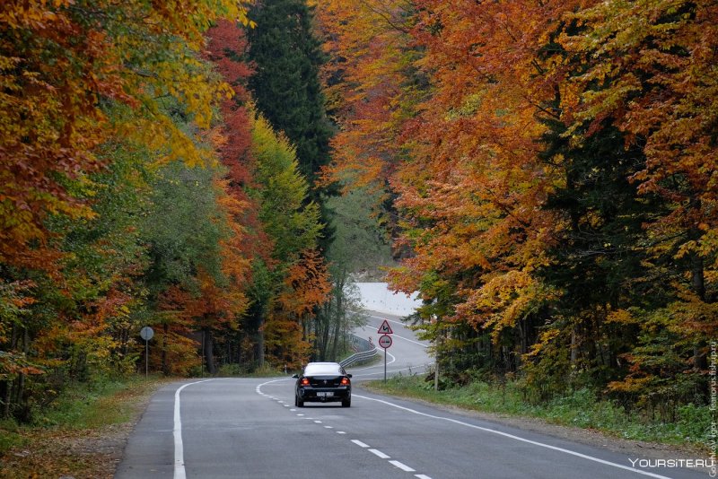 Осенняя дорога в Домбай