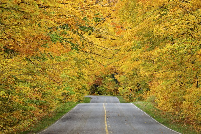 Осень вдоль дороги