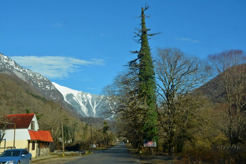 Абхазия Гагра зимой Рица