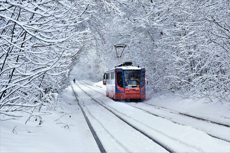 Трамвай в зимнем лесу