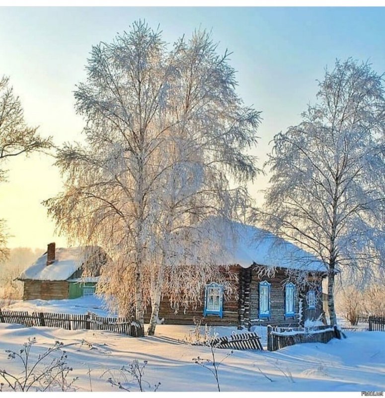 Пурнема Архангельская область зима