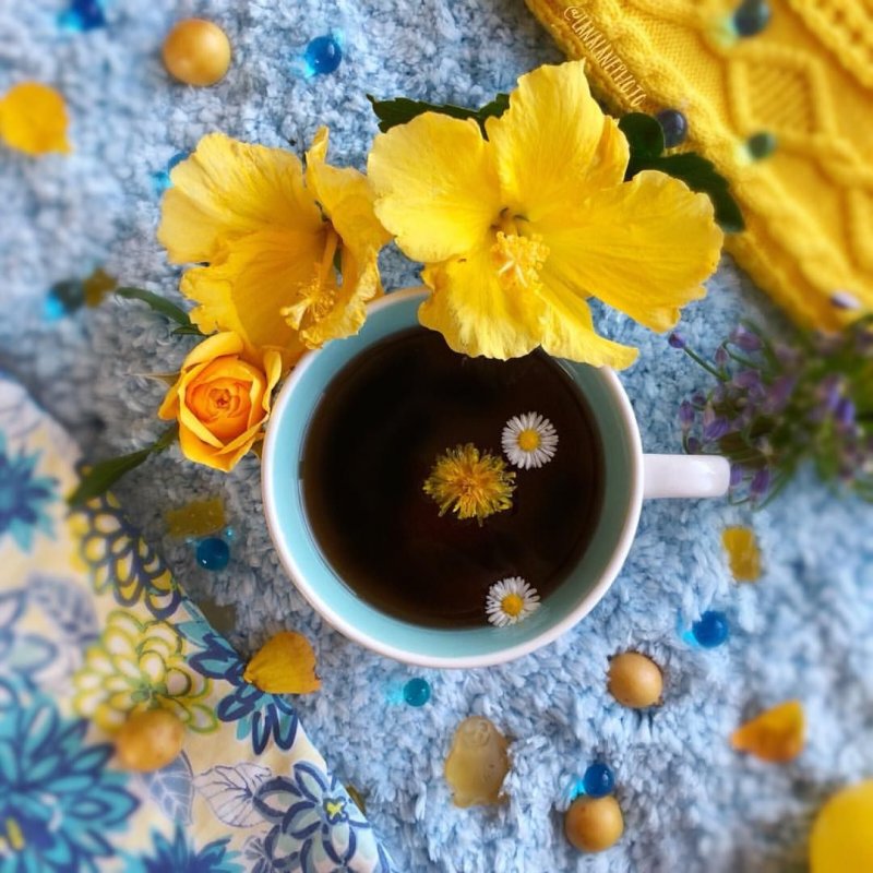 Желтые цветы для чая