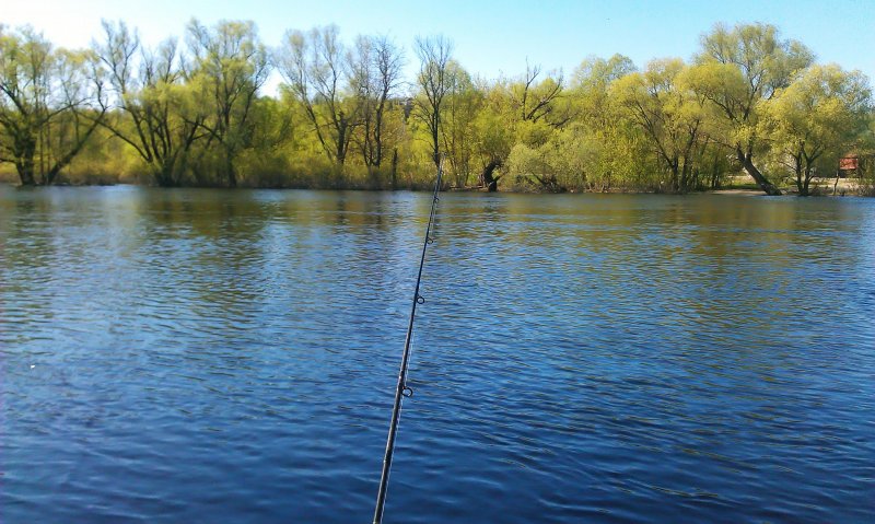 Рыбалка весной