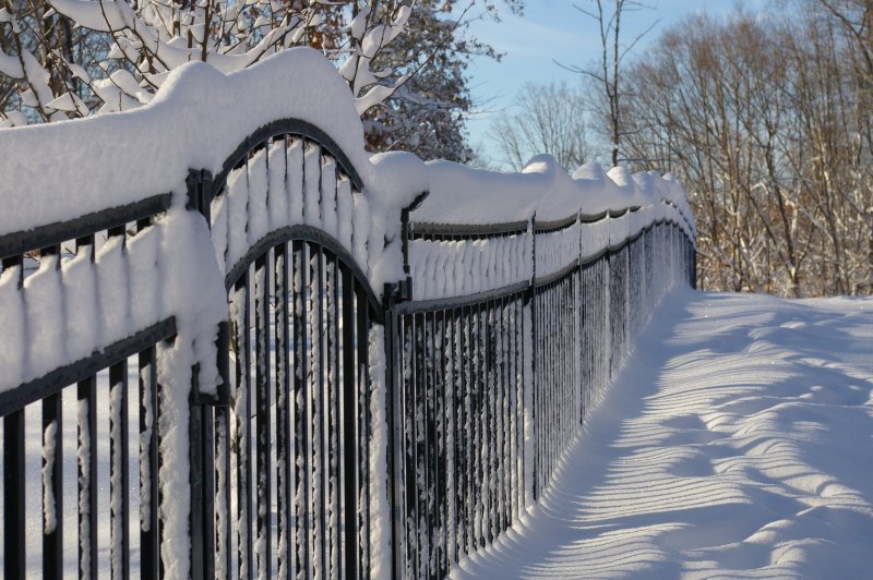 Забор зимой
