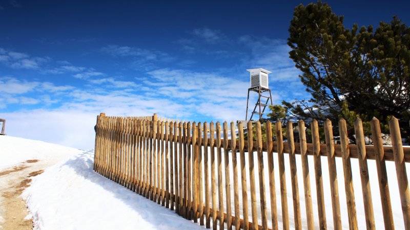 Деревянный забор в снегу
