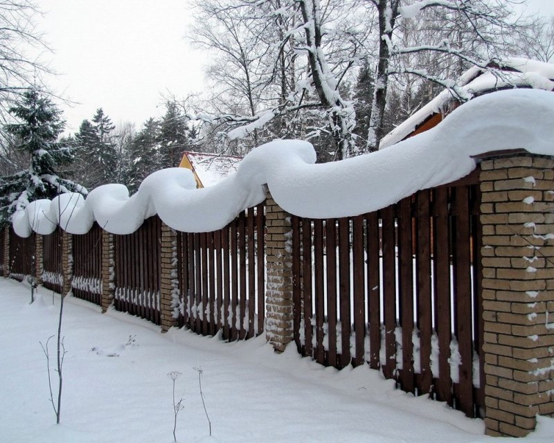 Забор зимой