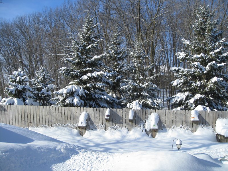Красивый забор зима