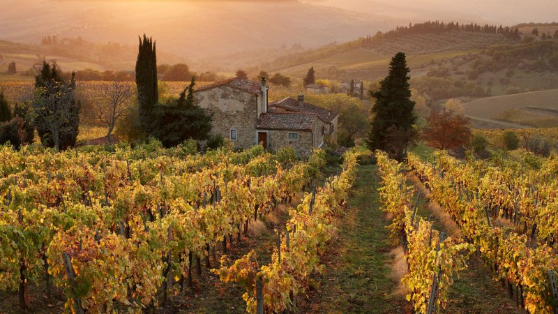 Италия Виноградная Долина Кьянти