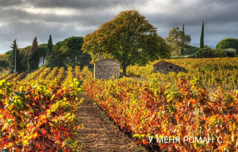 Прованс Франция виноградники