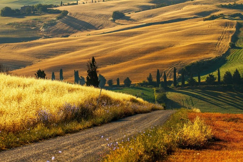 Сельская местность Тосканы Италия
