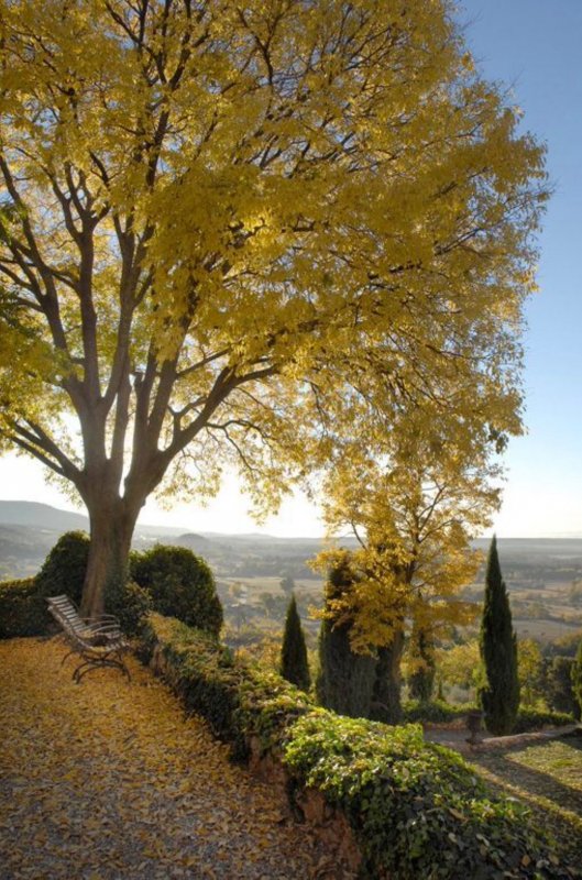 Осень в Провансе