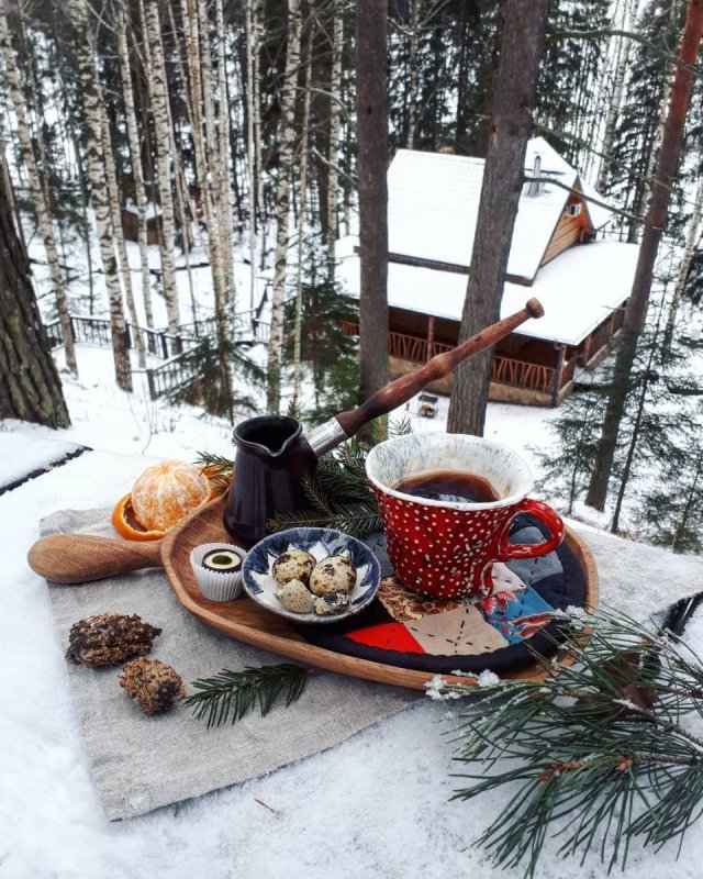 Чаепитие на природе зимой