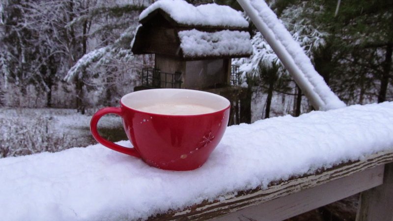 Зимнее кафе