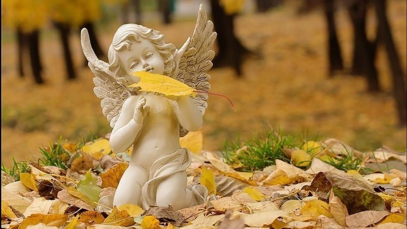 Осенний ангел