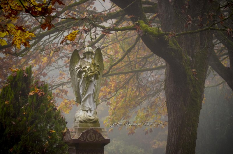 Кладбищенские статуи ангелов осенью