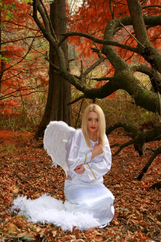 Ангел в осеннем лесу