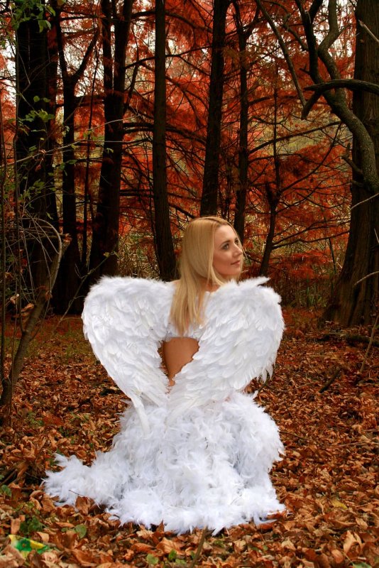 Девушка с ангельскими крыльями