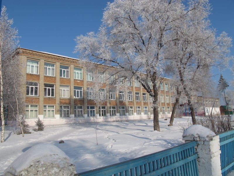 Деревенская школа зимой