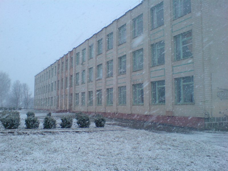 Школьный двор зимой