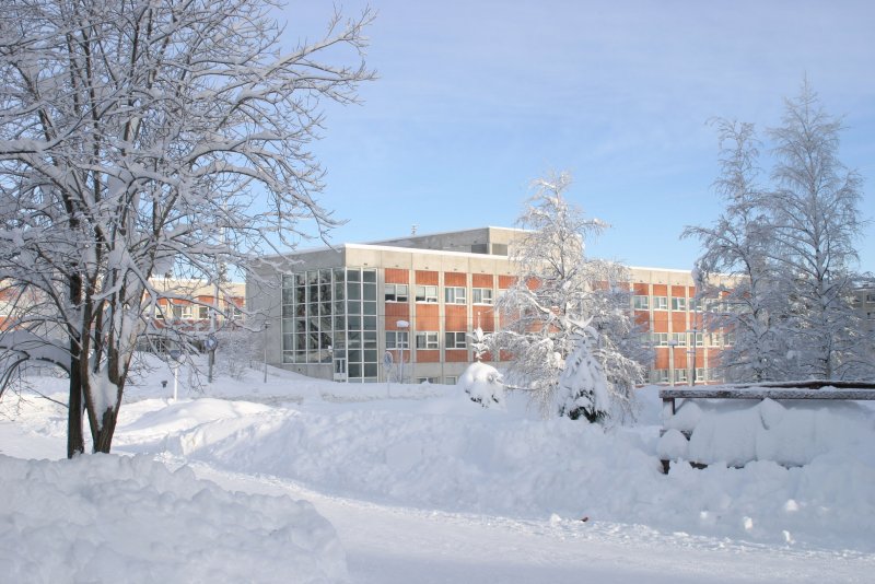 Школьный двор зимой