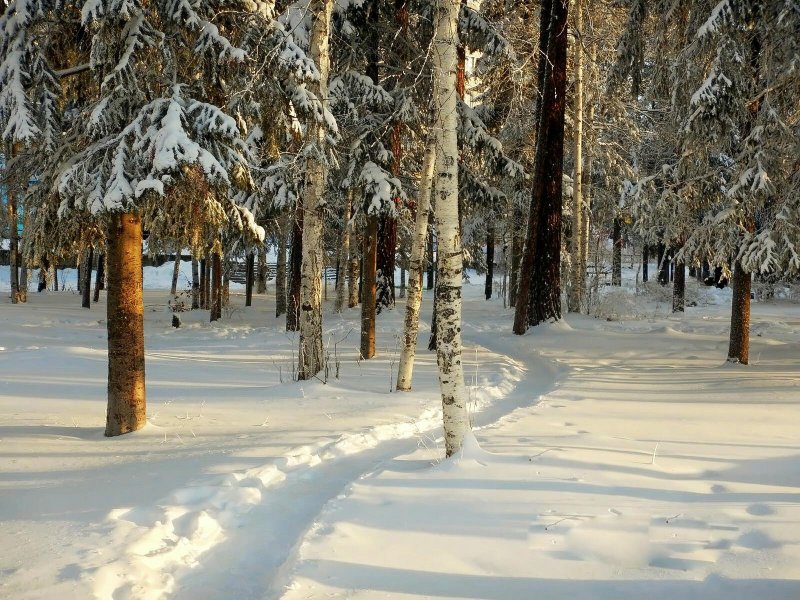 Усть-Илимск зима