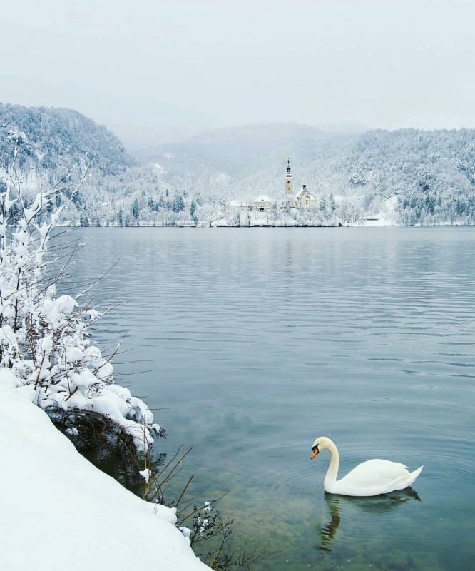 Озеро Рица Абхазия зима