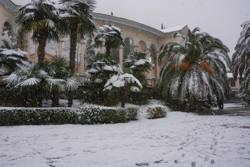 Рица Абхазия зимой