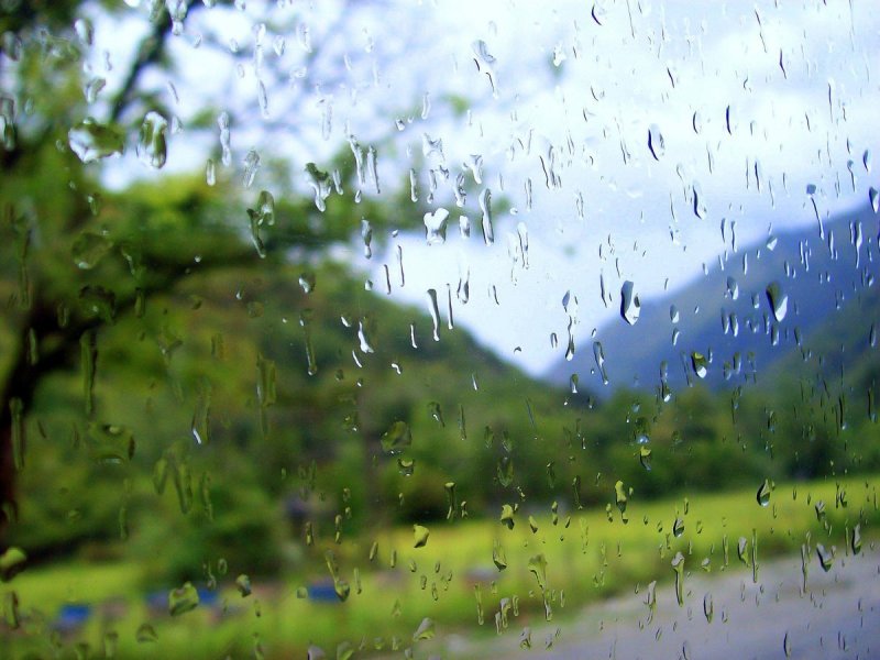 Дождливый день в деревне