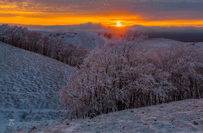 Зима в степи России