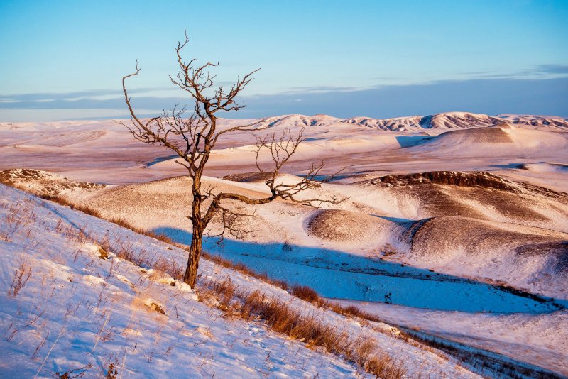 Зимние степи Казахстана