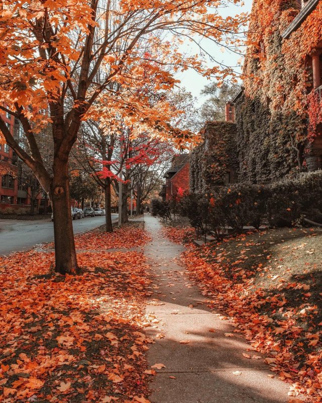 Торонто осенью