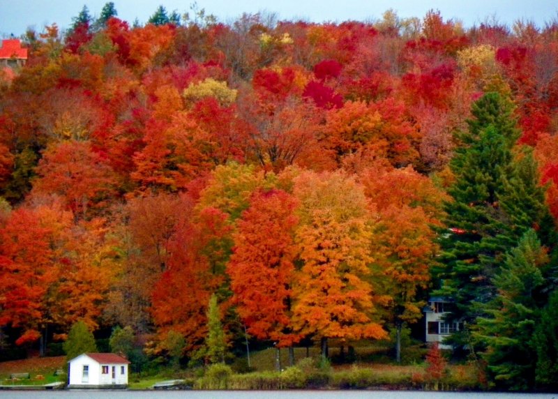 Золотая осень в Канаде