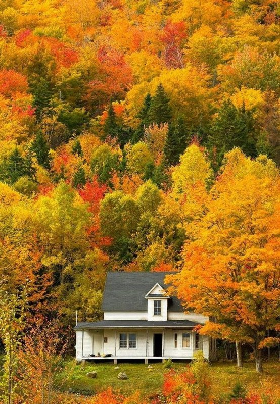 Осенняя Канада