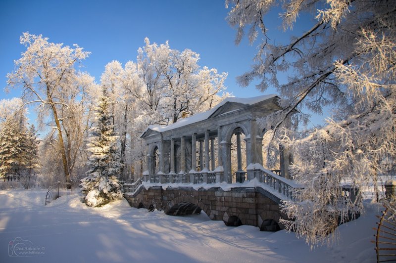 Екатерининский парк Царское село зимой