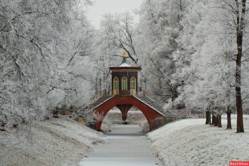 Шапель Царское село зима