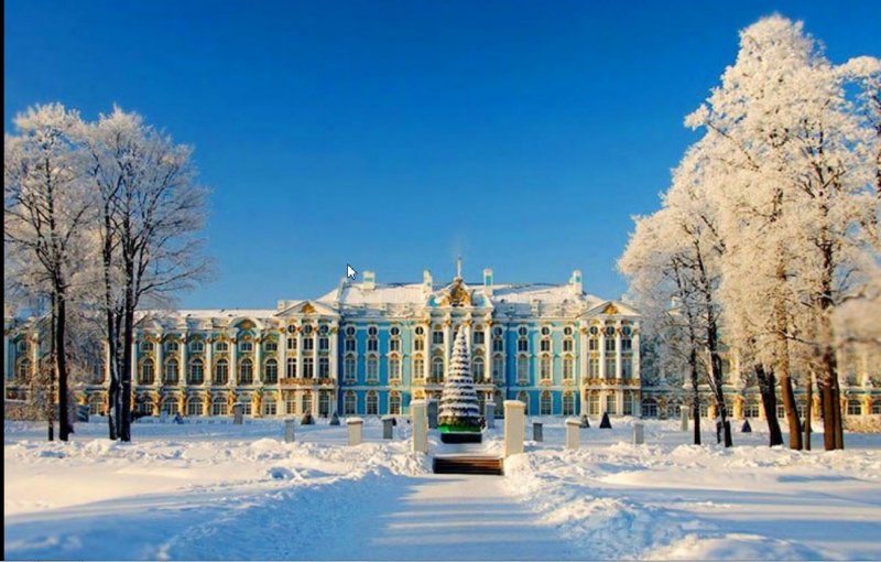 Александровский парк Царское село зима