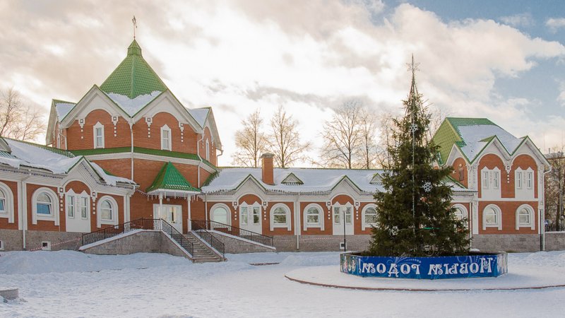 Зима в Подмосковье Клин Сестрорецкий парк