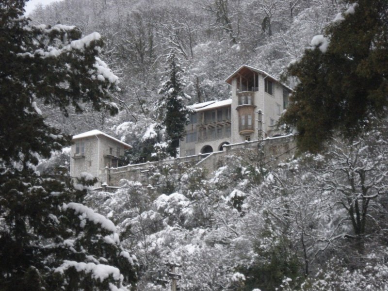 Зима в Абхазии теплая
